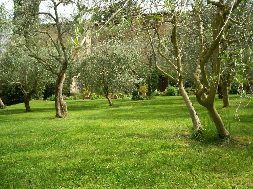 Podere Il Caggio Rooms San Gimignano Kültér fotó