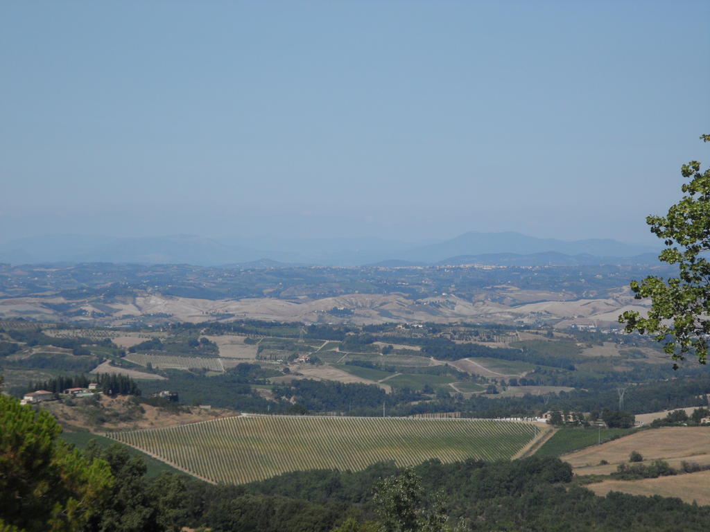 Podere Il Caggio Rooms San Gimignano Kültér fotó